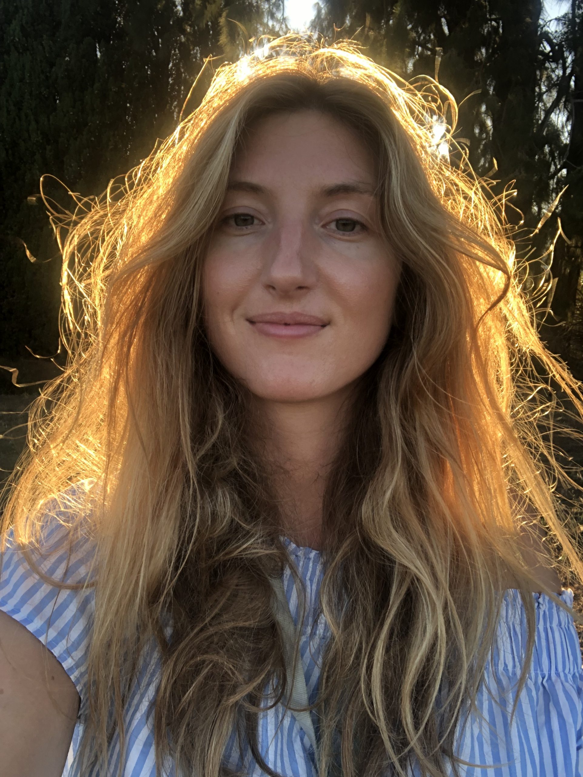 naturopathe lyme endométriose visio à distance hyères var